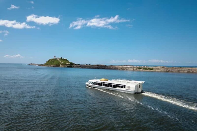 Newcastle: Harbour Cruise with Buffet Lunch - Real Traveler Perspectives