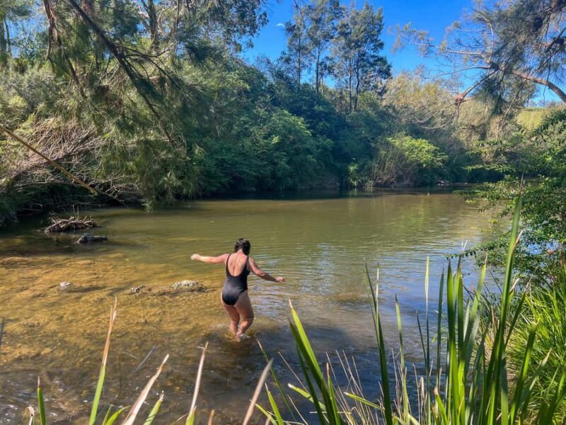 Newcastle: Hunter Valley River & Farm Tour with BBQ - Who Will Love This Tour?