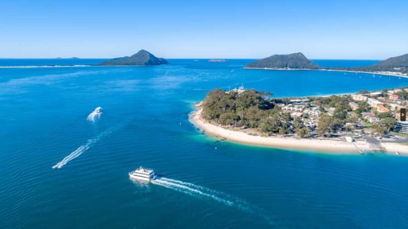 Newcastle: Port Stephens day tour. Dolphins, hike, swim. - Introducing the Newcastle: Port Stephens Day Tour