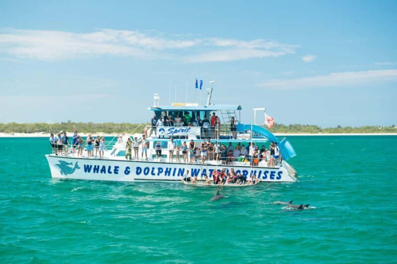 Newcastle: Port Stephens day tour. Dolphins, hike, swim. - Why This Tour Offers Great Value