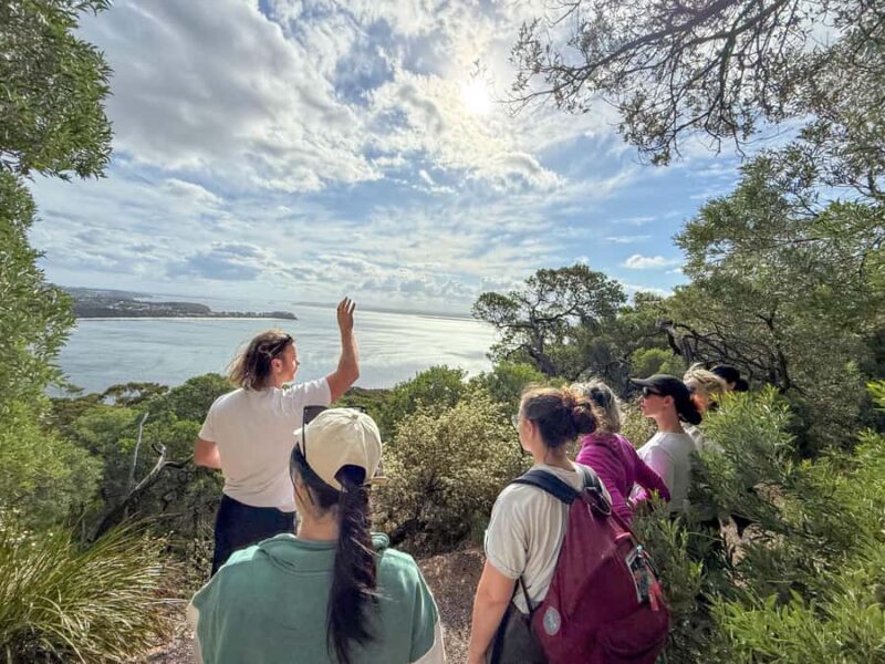 Newcastle: Port Stephens day tour. Dolphins, hike, swim. - Who Will Love This Tour?