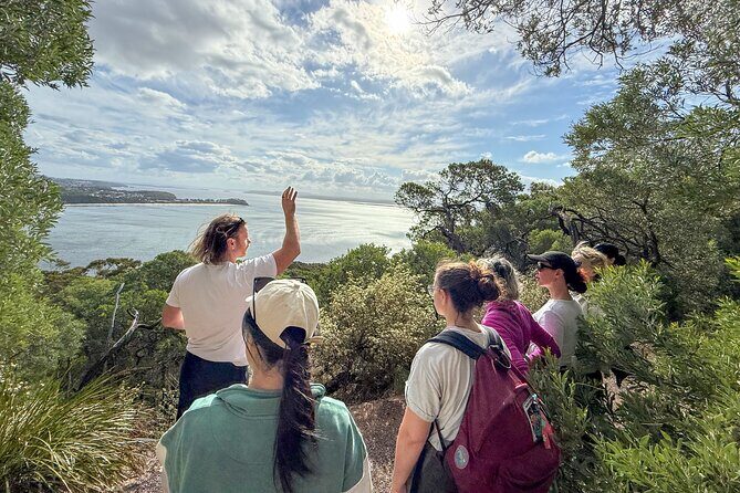 Newcastle: Port Stephens day tour - Dolphins, hike & swim! - The Sum Up: Who Will Love This Tour?
