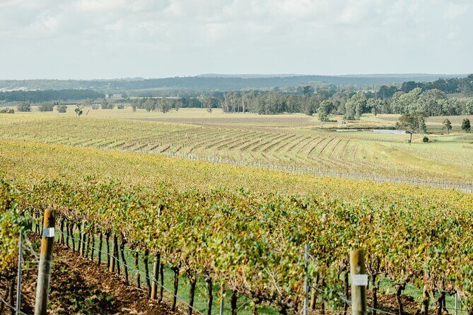 Newcastle: Private Hunter Valley Wine Tour - Who Should Book This Tour?