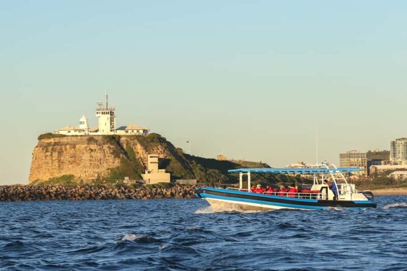 Newcastle: Small Group Humpback Whale Encounter Tour - FAQ