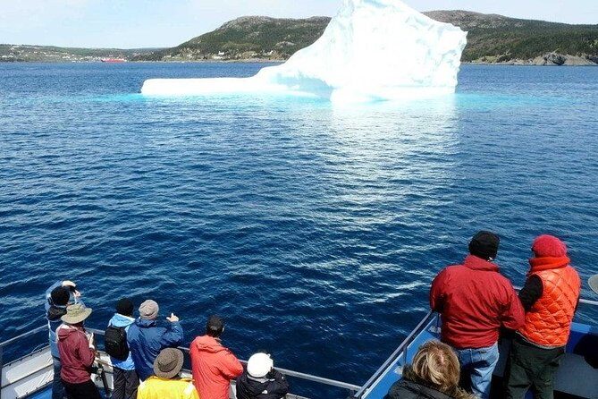 Newfoundland Puffin and Whale Watch Cruise - Who Will Love This Tour?