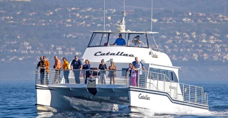 Newport Beach: Luxury Whale Watching Catamaran Cruise - The Experience and Atmosphere