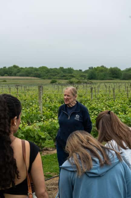 Newport: Vineyards Winery Tour + Tasting - Exploring Newport Vineyards: What to Expect