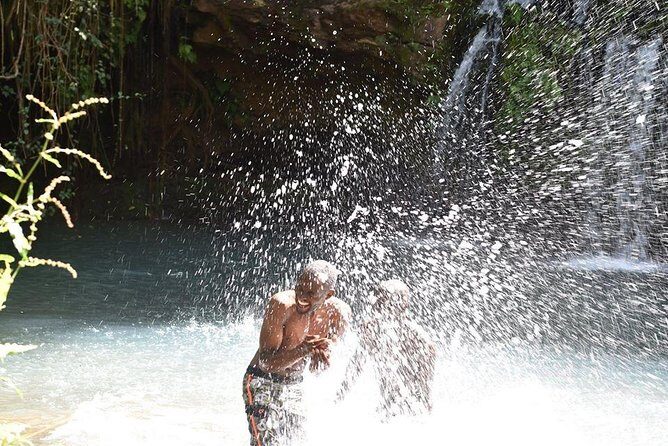 Ngare Ndare Day Trip - Real Traveler Insights