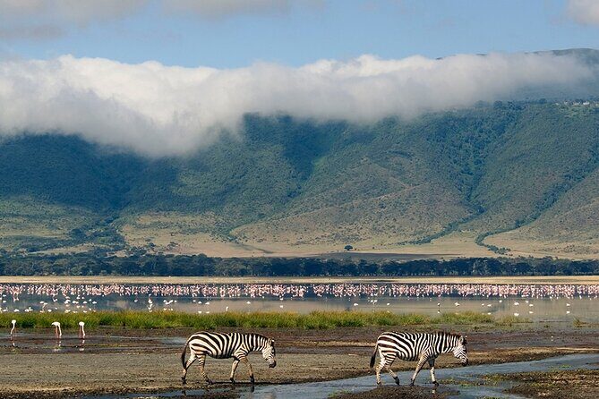 Ngorongoro Crater Day Trip - The Itinerary: A Day in the Wild