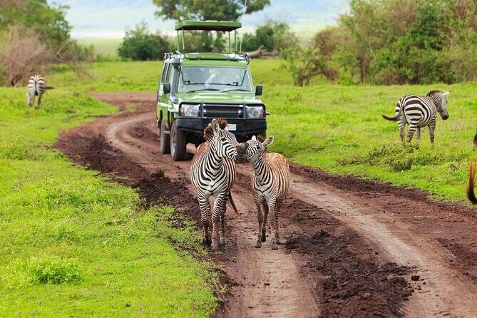 Ngorongoro Crater Day Trip - Analyzing the Value