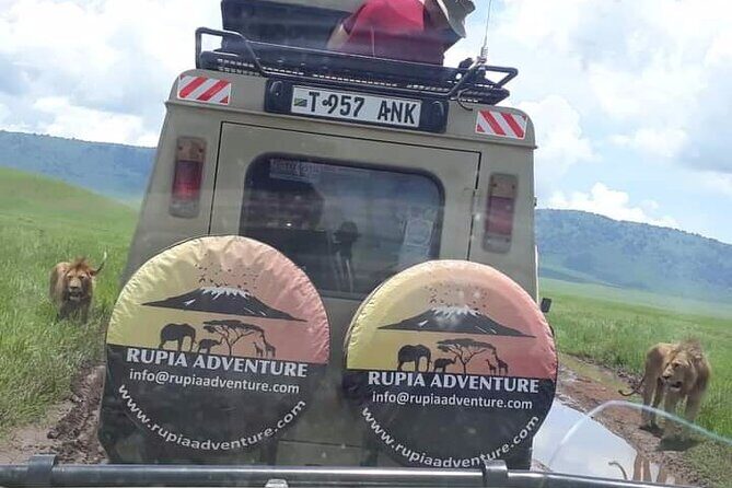 Ngorongoro Crater Day Trip - Analyzing the Experience: What You Can Expect