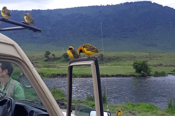 Ngorongoro Crater Day Trip - The Itinerary: What to Expect on Your Day