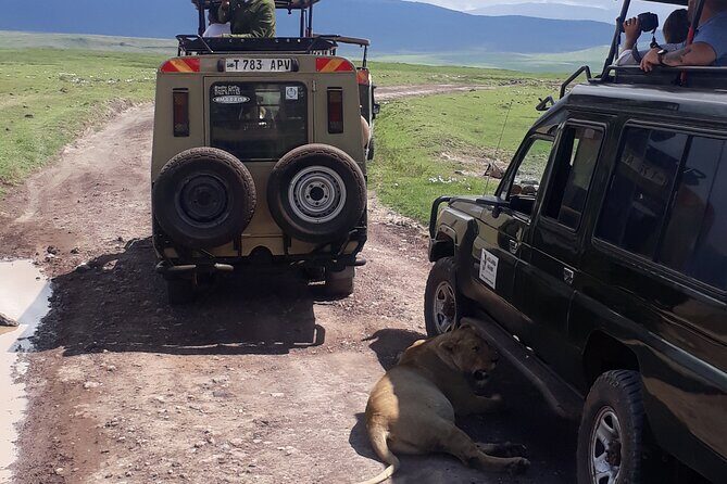 Ngorongoro Crater Day Trip - FAQ