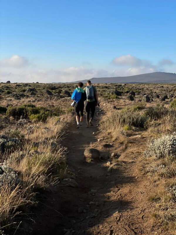 Ngorongoro Crater Day Trip with Picnic Lunch - Is This Tour Worth the Price?