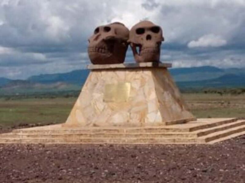 Ngorongoro: incredible Olduvai Gorge Day Trip - Key Points