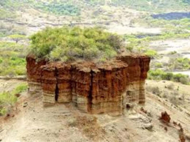 Ngorongoro: incredible Olduvai Gorge Day Trip - An In-Depth Look at the Olduvai Gorge Day Trip
