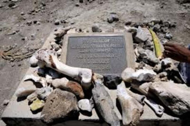 Ngorongoro: incredible Olduvai Gorge Day Trip - Who Will Love This Tour?