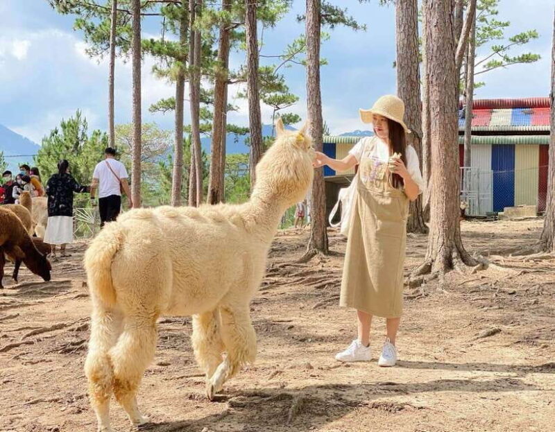 Nha Trang: 3-Day Tour with 4-Star Hotel and Meals - Key Points