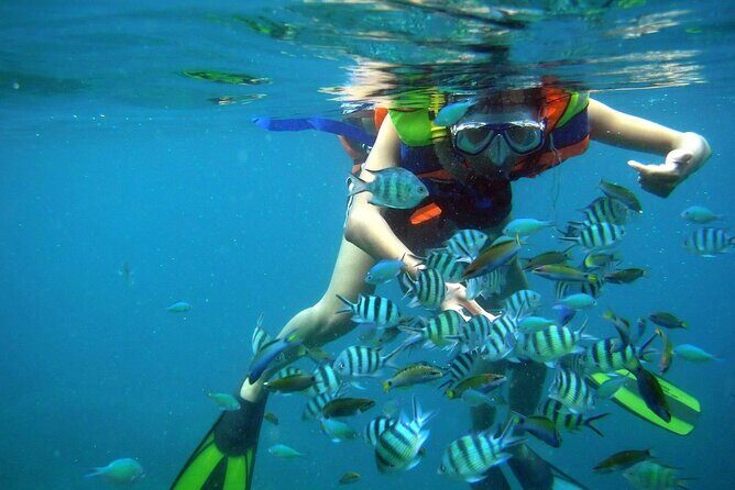 Nha Trang 3 Island VIP Tour - The Sum Up