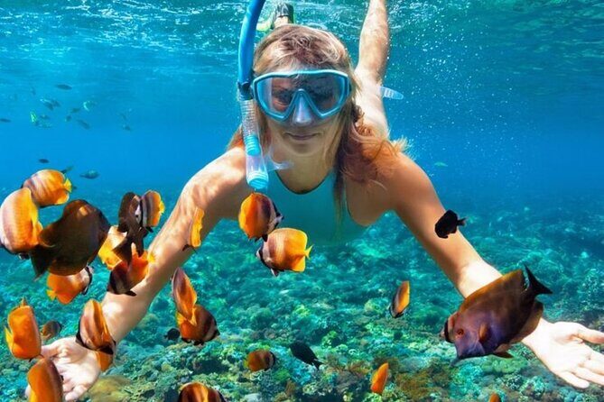 Nha Trang Bay: Explore Half-day Snorkeling at Mun Island - Transportation, Group Size, and Practicalities