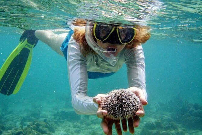 Nha Trang Bay: Explore Half-day Snorkeling at Mun Island - Why Choose This Tour?
