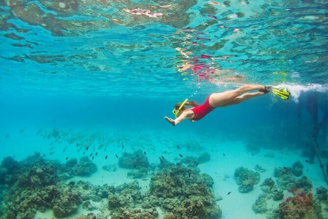 Nha Trang Bay: Explore Half-day Snorkeling at Mun Island - The Sum Up