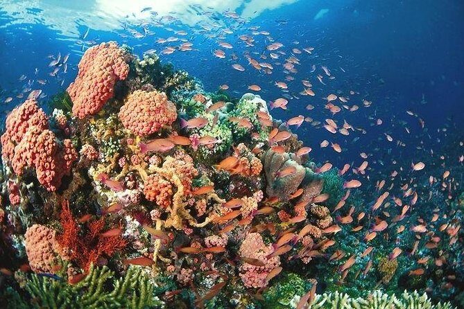 Nha Trang Bay Private Boat Tour - An In-Depth Look at the Nha Trang Bay Private Boat Tour