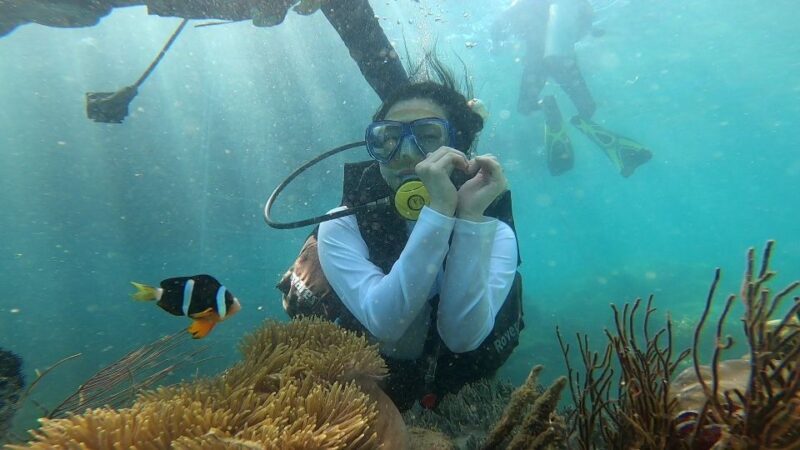 Nha Trang: Coral Reef Snorkeling and Floating Bar Party - Key Points
