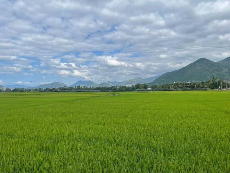 Nha Trang Day Tour: Ba Ho Waterfall, Cham Tower, Countryside - Who Will Love This Tour?