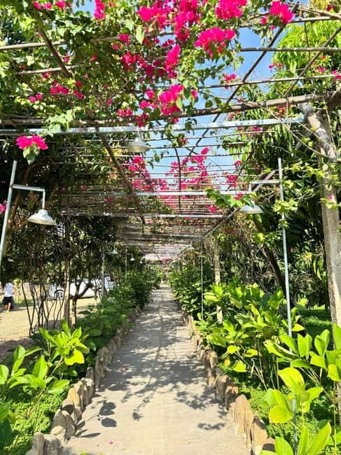 Nha Trang Day Tour: Suoi Mo Waterfall & Countryside - Key Points