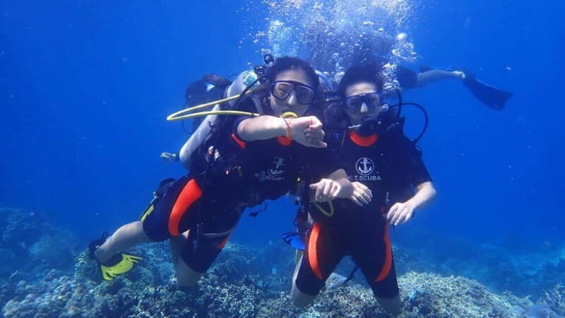 Nha Trang: Discover Scuba Diving for Non-Certified Divers - Key Points