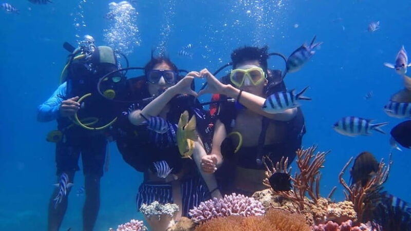 Nha Trang: Discover Scuba Diving for Non-Certified Divers - Value and Practical Considerations