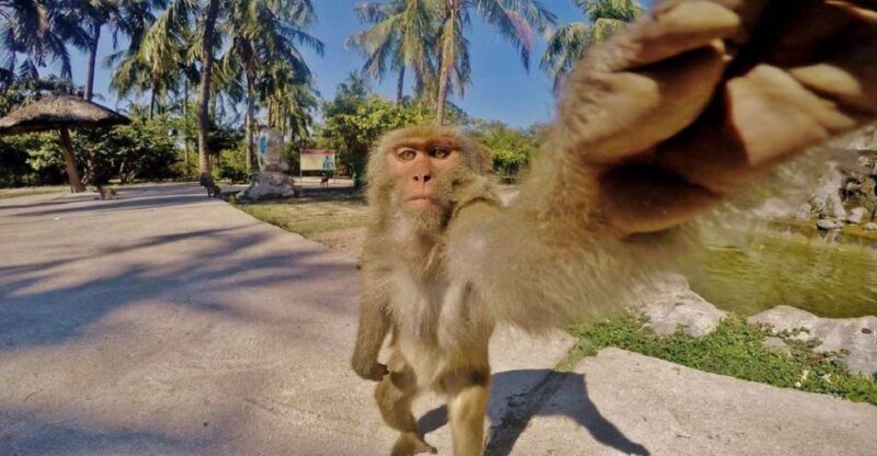 Nha Trang: Entry Ticket to Monkey Island - What to Expect on the Island