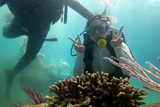 Nha Trang Exploring Tour To Da Lat - Who Should Consider This Tour?