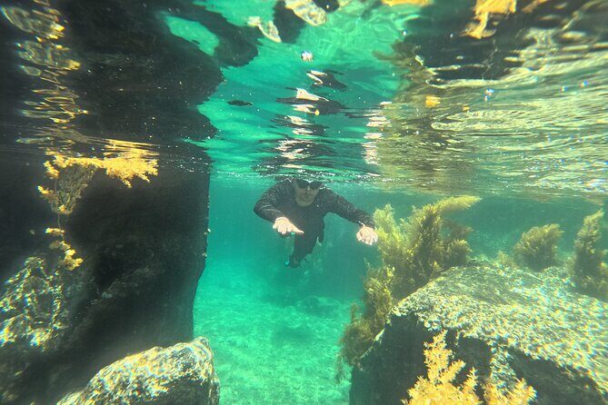 Nha Trang Half-Day Snorkeling Adventure at Marine Park with BBQ - An In-Depth Look at the Snorkeling Tour Experience