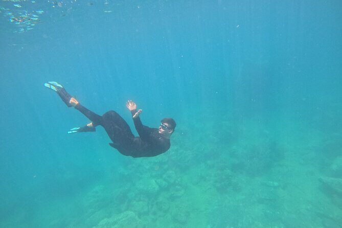 Nha Trang Half-Day Snorkeling Adventure at Marine Park with BBQ - Who This Tour Is Best For