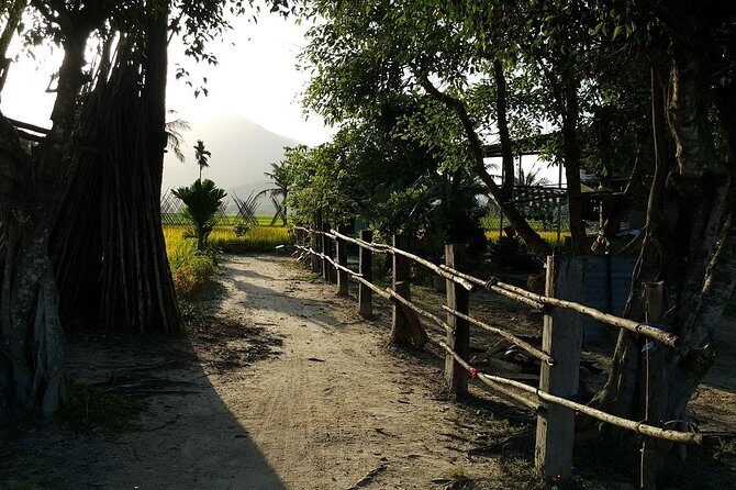 Nha trang Highlights - A Comprehensive Look at the Tour Experience