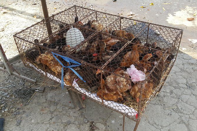 Nha trang Highlights - Frequently Asked Questions