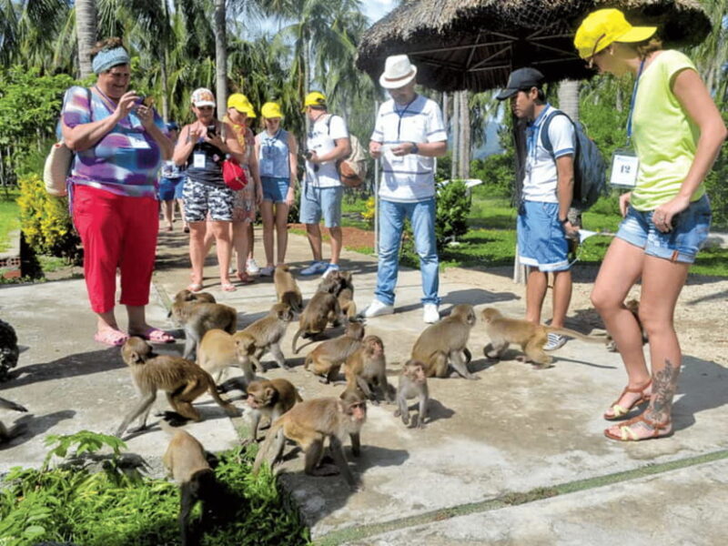 Nha Trang: Monkey Island with Orchids Island Combo Ticket - What to Expect from the Tour