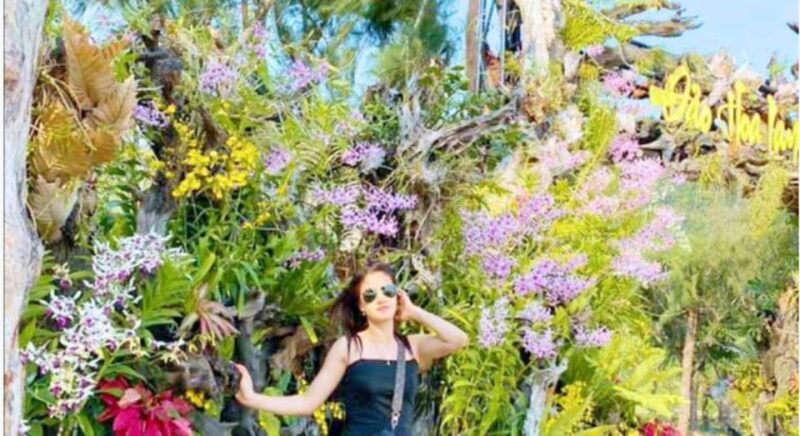 Nha Trang: Monkey Island with Orchids Island Combo Ticket - Value and Price Analysis