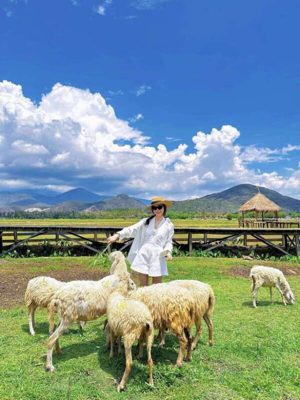 Nha Trang Ninh Thuan: Coral Coast, Grape Gardens, Suoi Tien - Key Points