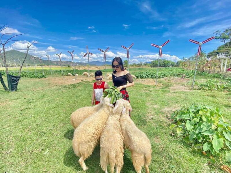 Nha Trang Ninh Thuan: Coral Coast, Grape Gardens, Suoi Tien - FAQ