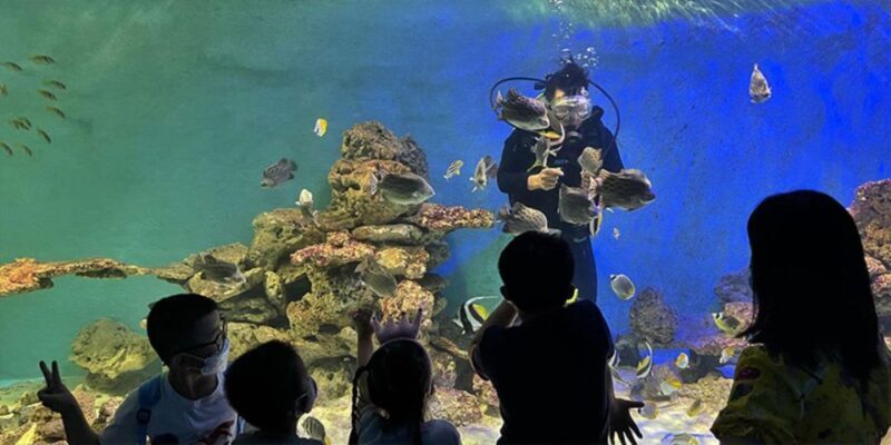 Nha Trang Private Half-Day City Tour - FAQ