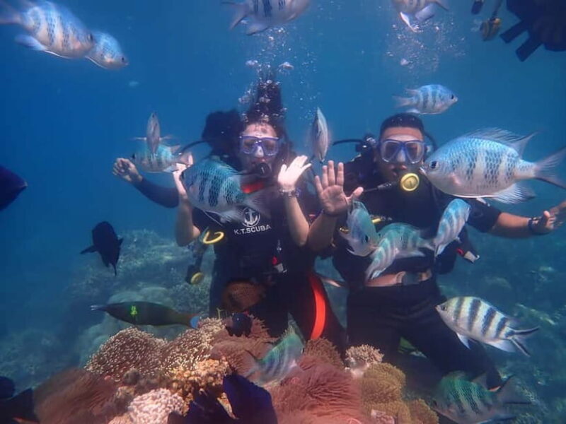Nha Trang: Private Scuba Diving Experience with Lunch - What to Expect from This Private Scuba Tour in Nha Trang