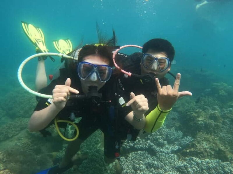 Nha Trang: Private Scuba Diving Experience with Lunch - The Sum Up