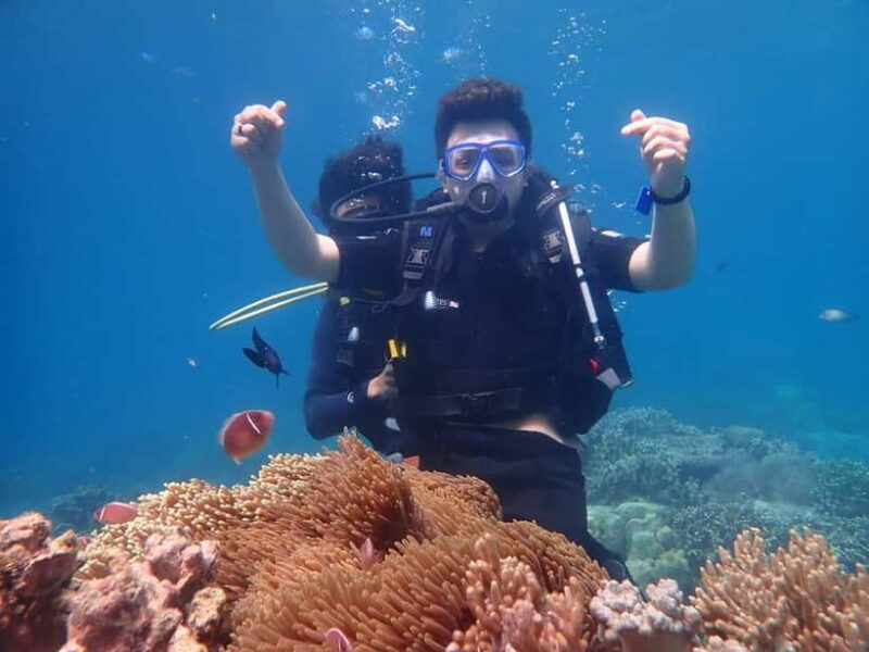 Nha Trang : Scuba diving experience for certified dive - Introduction