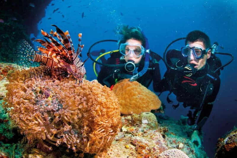 Nha Trang: Scuba Diving Tour with Lunch and Drinks - Key Points