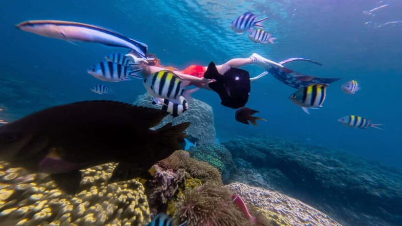 Nha Trang: Scuba Diving Tour with Lunch and Drinks - An In-Depth Look at the Nha Trang Scuba Tour