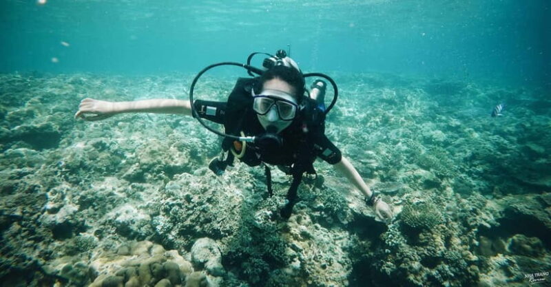 Nha Trang: Scuba Diving Tour with Lunch and Drinks - Why This Tour Offers Great Value