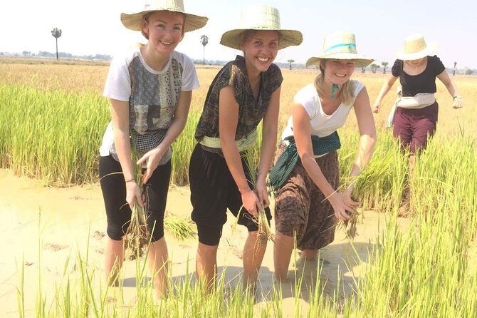 NhumBai, The Village Experience - NhumBai, The Village Experience: A Genuine Look into Rural Cambodia